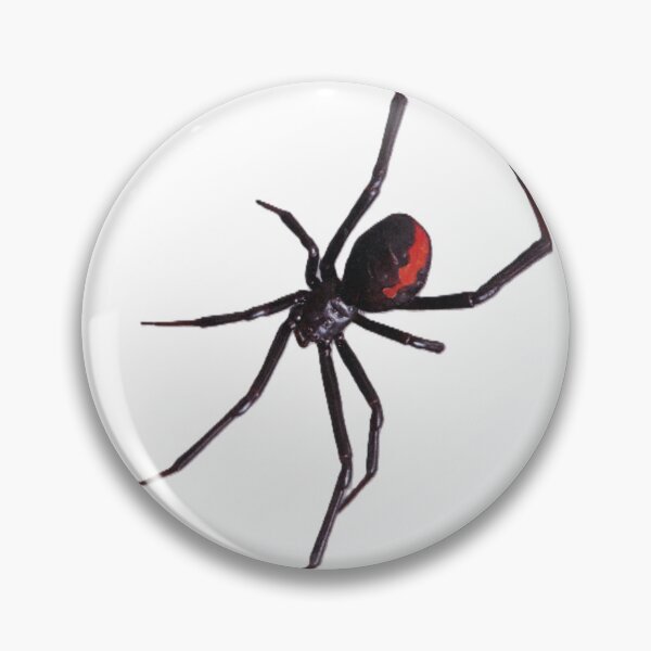 Artikelvorschau, Spinne entworfen und verkauft von bluebells2642.