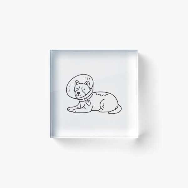 Item preview, doodle illustration of a canine wearing doodle illustration of a protective collar on the floor designed and sold by rasagamastore.