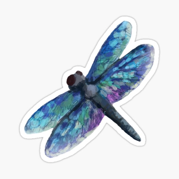  Aesthetic Dragonfly Vinyl Stickers for Teens Boys