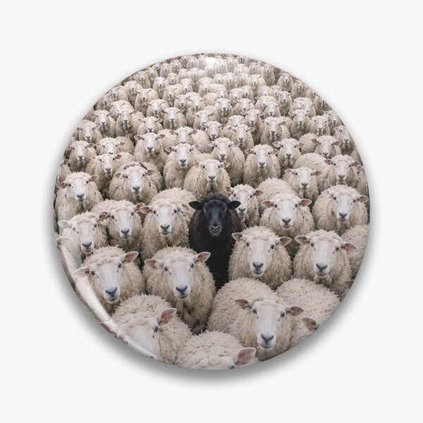 Item preview, The black sheep designed and sold by alan tunnicliffe.