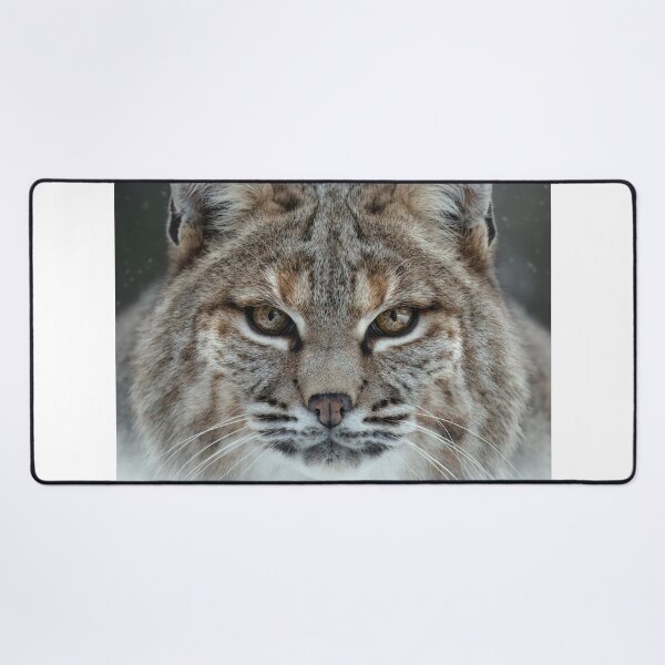 Item preview, Encrypted Associazione Italiana Cultura Sport Aics aData Protection designed and sold by wenuroi.