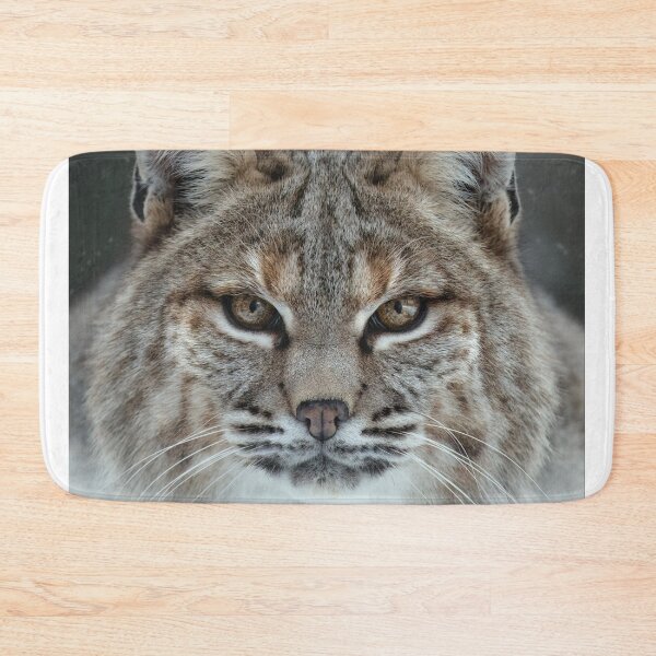 Item preview, Encrypted Associazione Italiana Cultura Sport Aics aData Protection designed and sold by wenuroi.