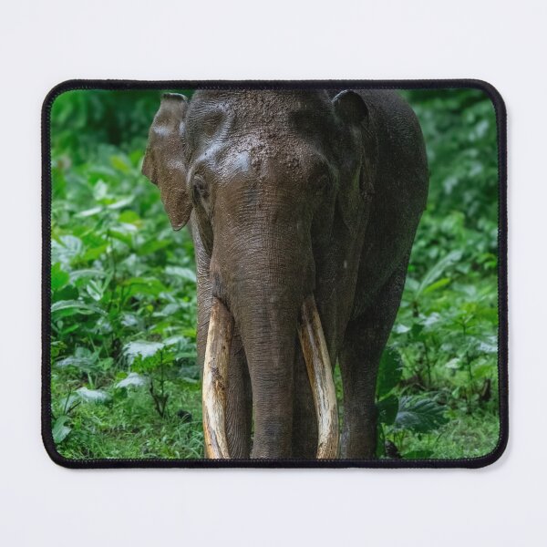 Item preview, Digital Air Canada Airlines fPrivacy Protection designed and sold by wenuroi.