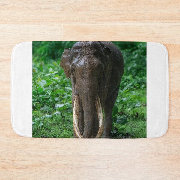 Item preview, Digital Air Canada Airlines fPrivacy Protection designed and sold by wenuroi.