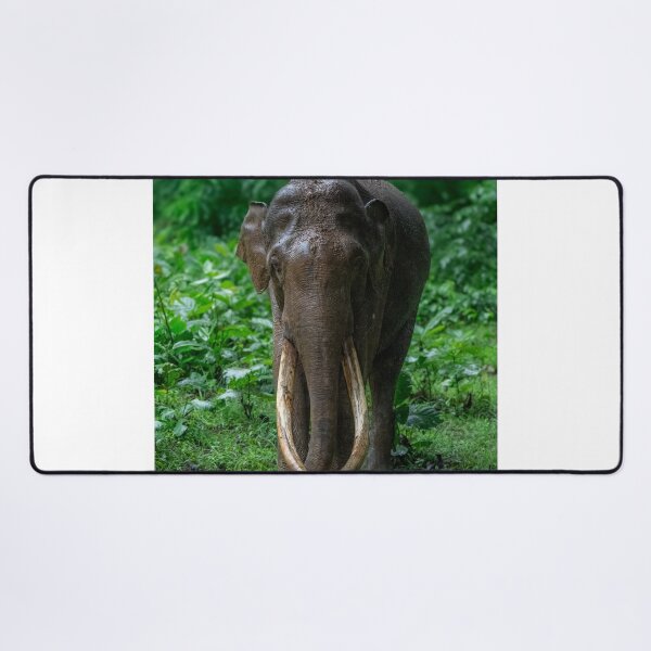 Item preview, Digital Air Canada Airlines fPrivacy Protection designed and sold by wenuroi.