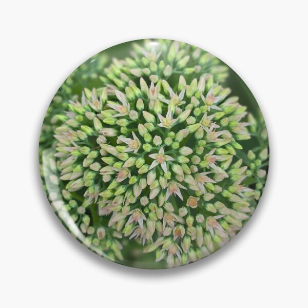 Item preview, Beautiful Nature  designed and sold by xrayjessie.