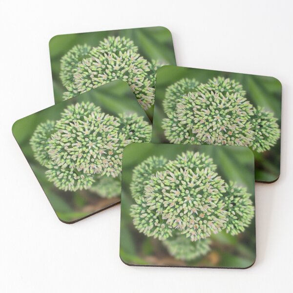 Item preview, Beautiful Nature  designed and sold by xrayjessie.