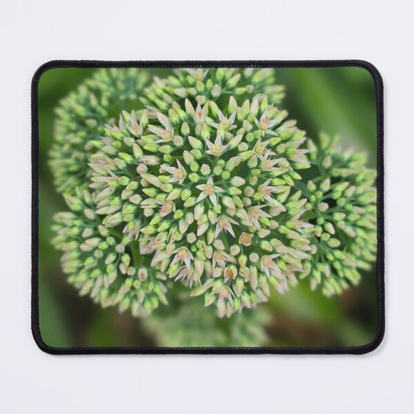 Item preview, Beautiful Nature  designed and sold by xrayjessie.
