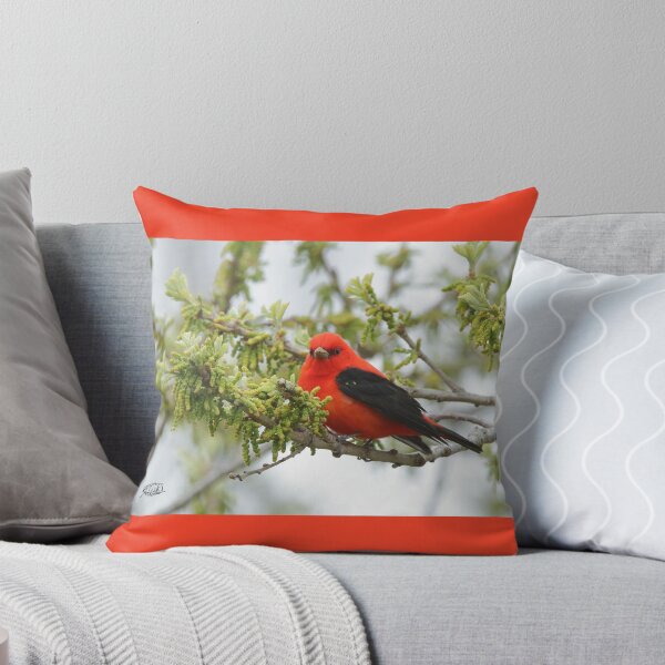 Item preview, Scarlet Tanager designed and sold by TCW Studios.