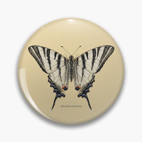 Item preview, Scarce Swallowtail: Entomological Specimen Classical Butterfly Art designed and sold by FreiherrPK.
