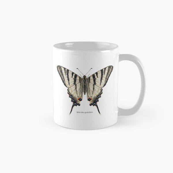 Item preview, Scarce Swallowtail: Entomological Specimen Classical Butterfly Art designed and sold by FreiherrPK.