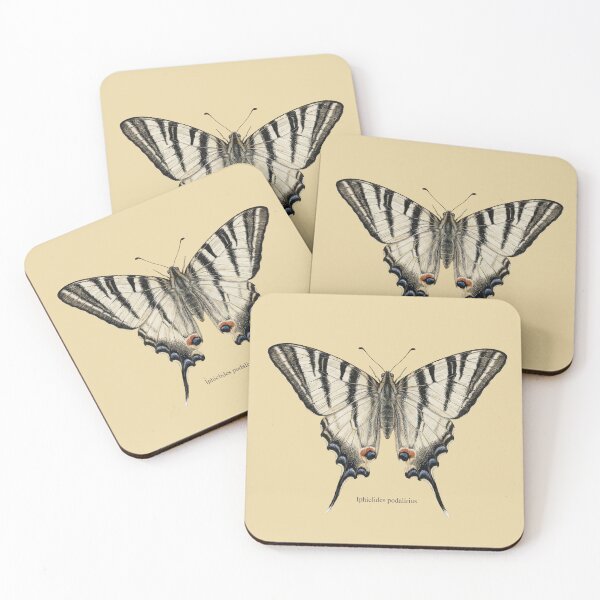 Item preview, Scarce Swallowtail: Entomological Specimen Classical Butterfly Art designed and sold by FreiherrPK.