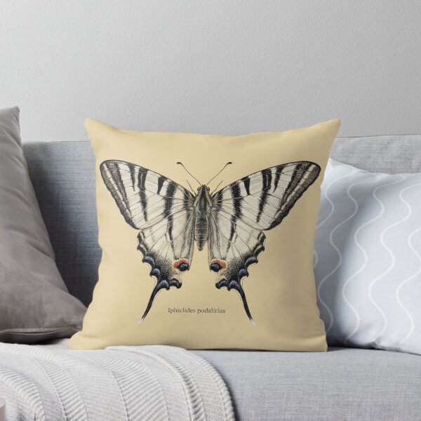 Item preview, Scarce Swallowtail: Entomological Specimen Classical Butterfly Art designed and sold by FreiherrPK.