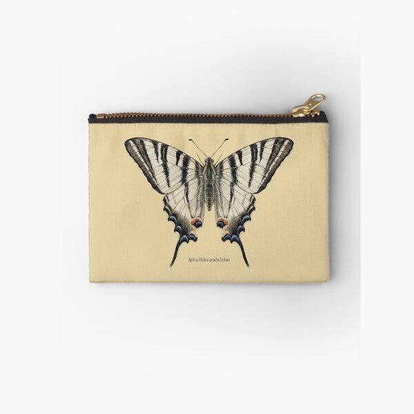 Item preview, Scarce Swallowtail: Entomological Specimen Classical Butterfly Art designed and sold by FreiherrPK.