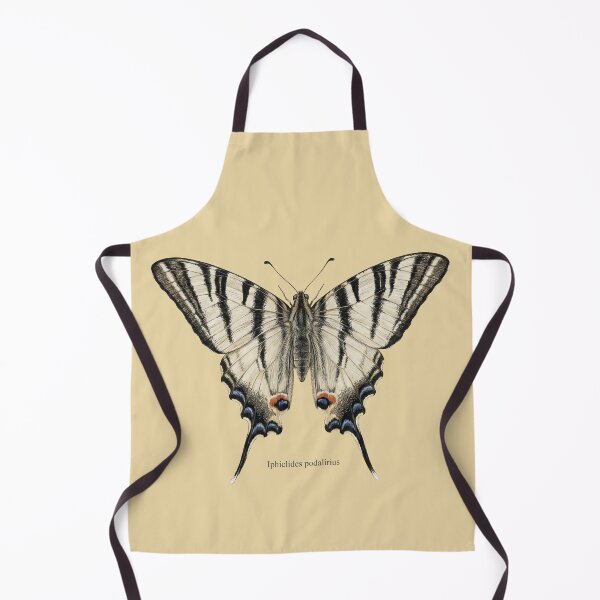 Item preview, Scarce Swallowtail: Entomological Specimen Classical Butterfly Art designed and sold by FreiherrPK.