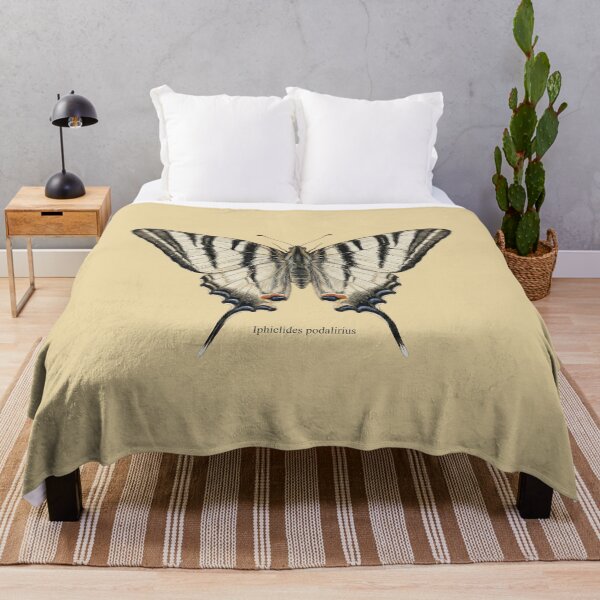 Item preview, Scarce Swallowtail: Entomological Specimen Classical Butterfly Art designed and sold by FreiherrPK.