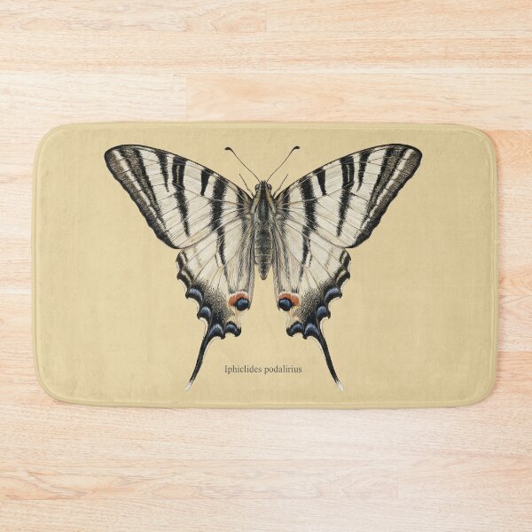 Item preview, Scarce Swallowtail: Entomological Specimen Classical Butterfly Art designed and sold by FreiherrPK.