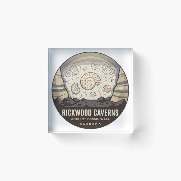 Item preview, Rickwood Caverns Fossil Wall Alabama Geology Sticker designed and sold by DetourDgn.