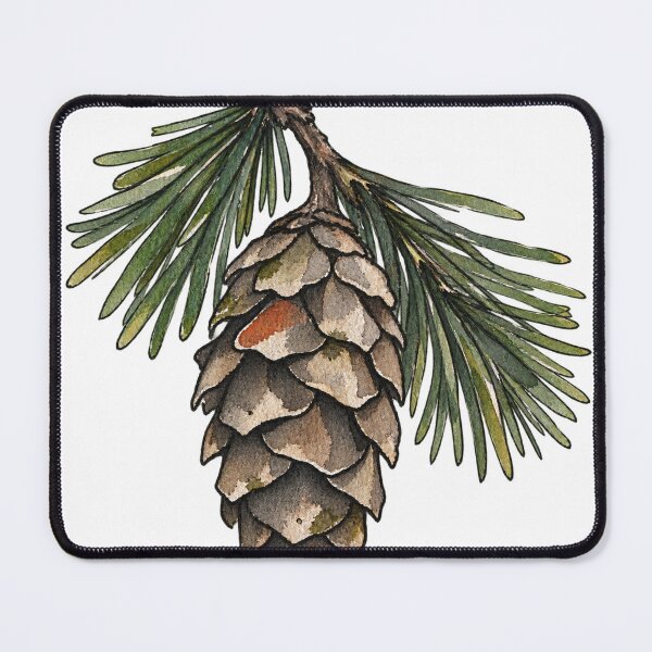 Item preview, Watercolor Pine Cone on a Hanging Pine Sprig designed and sold by Jessie's Palette.