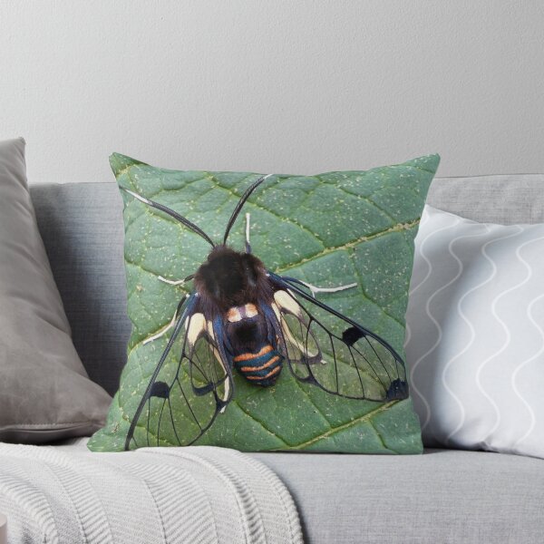 Item preview, Vibrant Air Supply Niche Design designed and sold by litusxca.