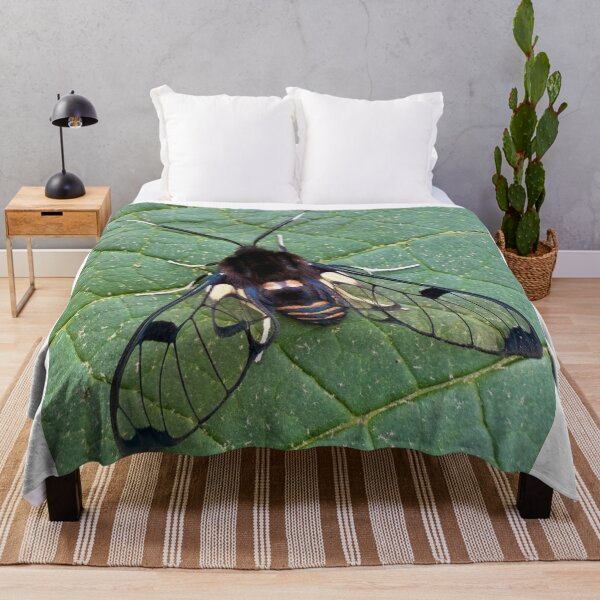 Item preview, Vibrant Air Supply Niche Design designed and sold by litusxca.