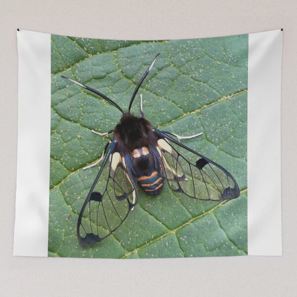 Item preview, Vibrant Air Supply Niche Design designed and sold by litusxca.