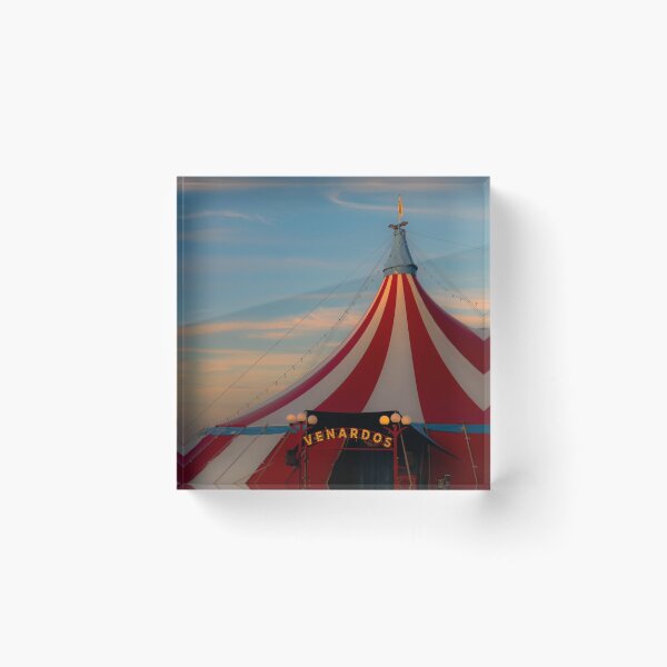 Item preview, Scarlet Air Rose Airlines Niche Statement designed and sold by litusxca.
