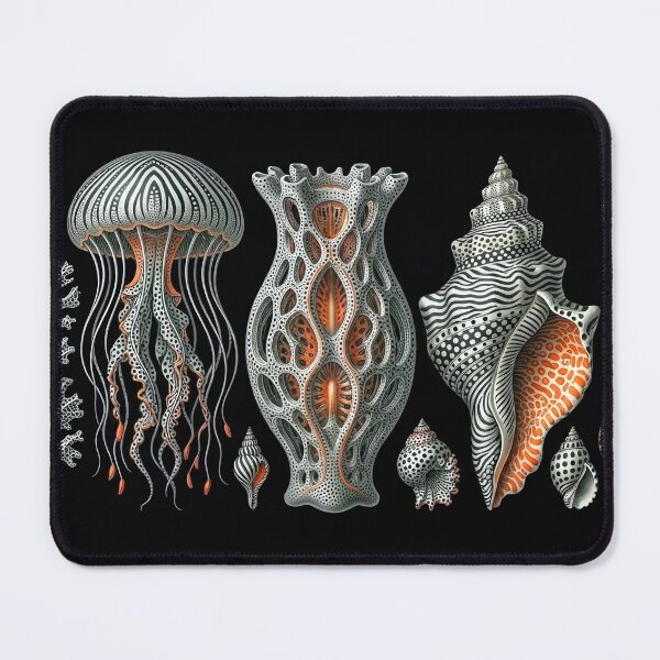 Item preview, Ernst Haeckel Glass Sponge & Marine Organisms designed and sold by andreisky.