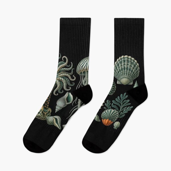 Item preview, Ernst Haeckel Sea Anemone & Shells designed and sold by andreisky.
