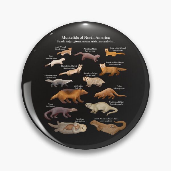 Item preview, Mustelids Of North America designed and sold by CoryMoore88.