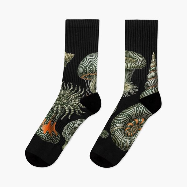 Artikelvorschau, Ernst Haeckel Seeanemonen & Spiralen entworfen und verkauft von andreisky.