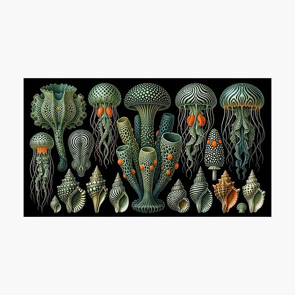Item preview, Ernst Haeckel Tubular Glass Sponges & Jellyfish designed and sold by andreisky.