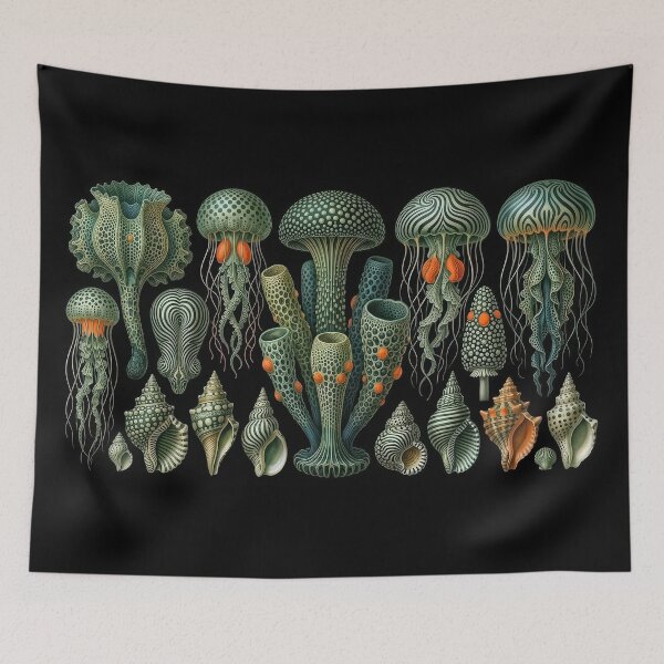 Item preview, Ernst Haeckel Tubular Glass Sponges & Jellyfish designed and sold by andreisky.