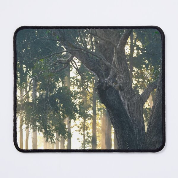 Item preview, Striking Air India Express bRed Wall Recess designed and sold by litusxca.