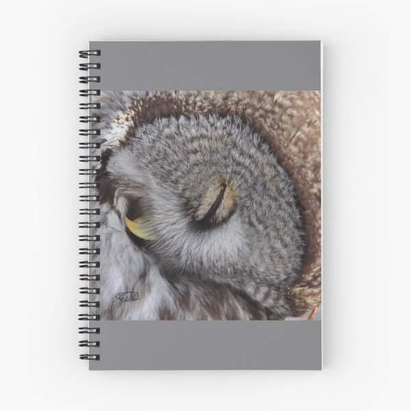 Item preview, Face Time designed and sold by TCW Studios.