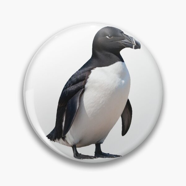 Item preview, Great Auk – Extinct Flightless Seabird Portrait designed and sold by Helt-enkelt.