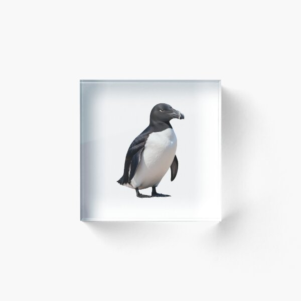 Item preview, Great Auk – Extinct Flightless Seabird Portrait designed and sold by Helt-enkelt.