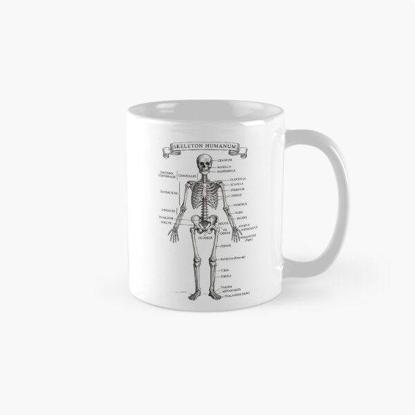 Item preview, Skeleton Humanum Vintage Anatomical Chart designed and sold by DarkOriginArts.