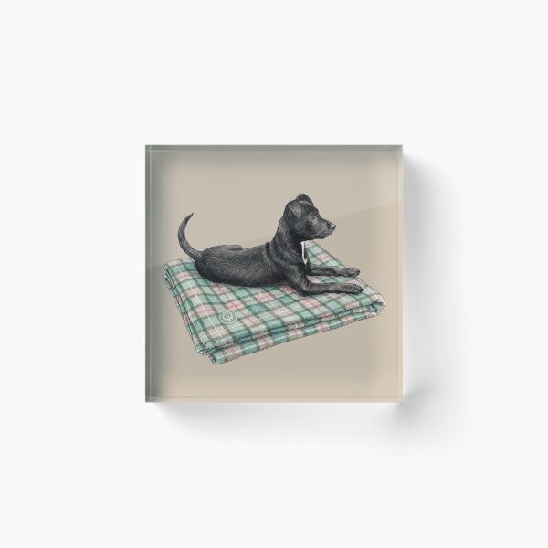 Item preview, Finley Holmes on His Tartan - Black Pup on Green Plaid Blanket designed and sold by Finley Holmes The Country Hound.