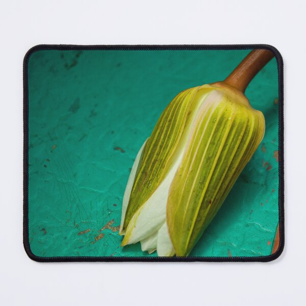 Item preview, Lotusflower on metal designed and sold by Photopat.