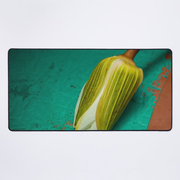 Item preview, Lotusflower on metal designed and sold by Photopat.