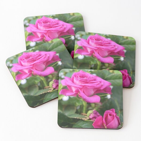 Item preview, Vibrant Pink Rose Blooming Floral Photo designed and sold by pinkal.