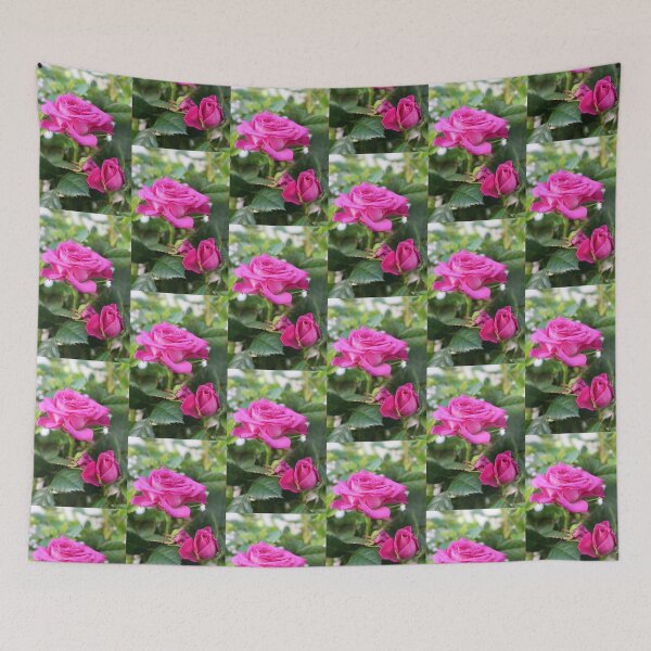 Item preview, Vibrant Pink Rose Blooming Floral Photo designed and sold by pinkal.