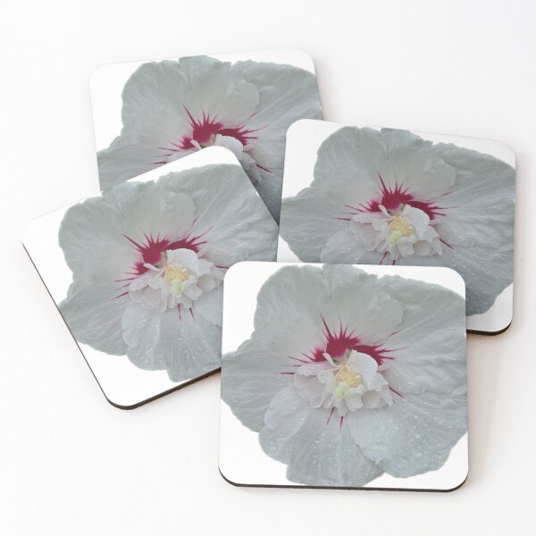 Item preview, Rose of sharon designed and sold by SamanthaDawn94.