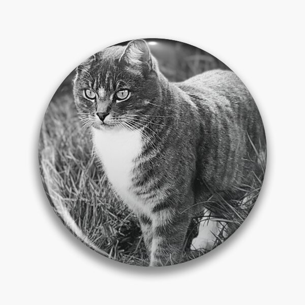 Item preview, Joey T Floof in the garden designed and sold by MittensandMouse.