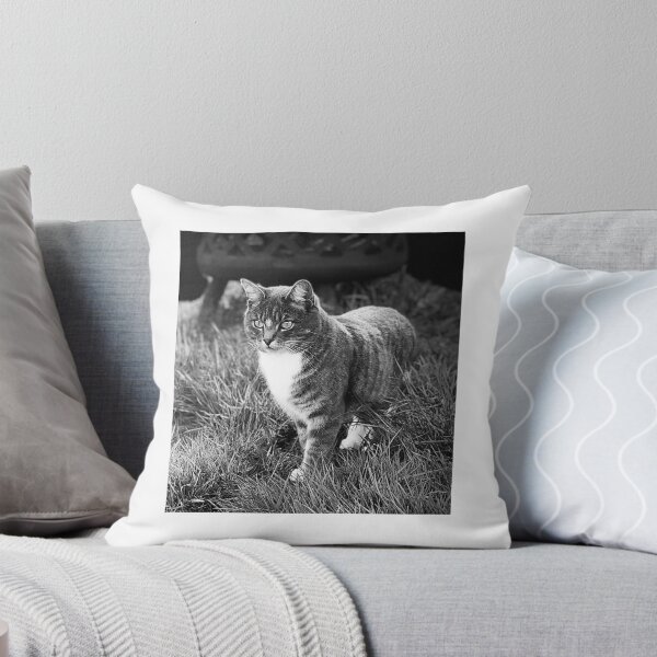 Item preview, Joey T Floof in the garden designed and sold by MittensandMouse.