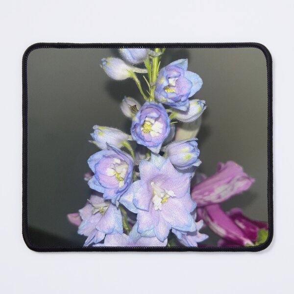 Item preview, Vintage Candle Larkspur designed and sold by TaisiasCaptures.