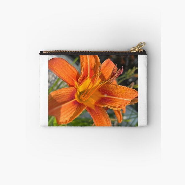 Item preview, Summer's Golden Flare designed and sold by TaisiasCaptures.