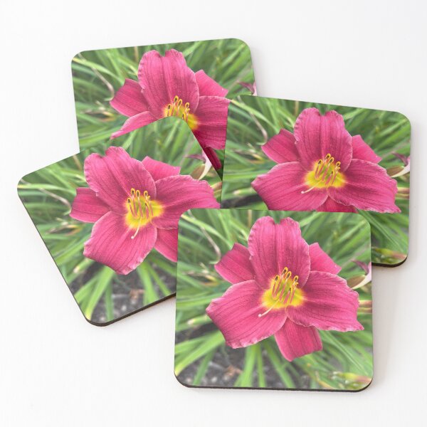 Item preview, Pardon Me Daylily Bloom designed and sold by TaisiasCaptures.