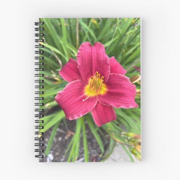 Item preview, Pardon Me Daylily Bloom designed and sold by TaisiasCaptures.